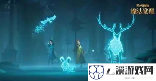 哈利波特魔法觉醒守护神蝙蝠获得攻略