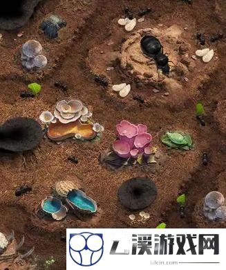小小蚁国搬砖攻略