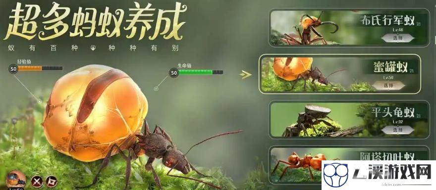 小小蚁国仓库保护作用介绍