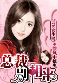 总裁，别胡来_微风中摇曳_作品介绍_最新章节_全文无弹窗免费阅读