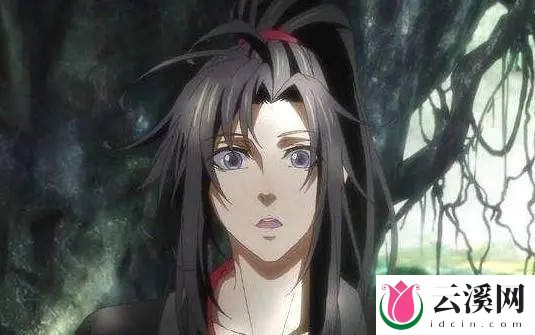 《魔道祖师》:蓝忘机这辈子写的唯一一个错别字是什么?