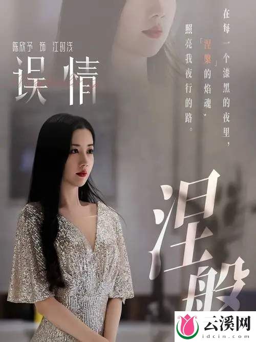 《误情》原著小说叫什么？剧情介绍