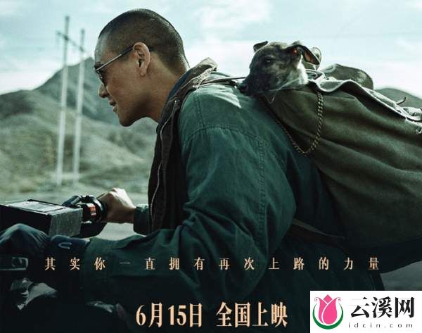 彭于晏《狗阵》影片及主要演员简介-《狗阵》影片看点汇总