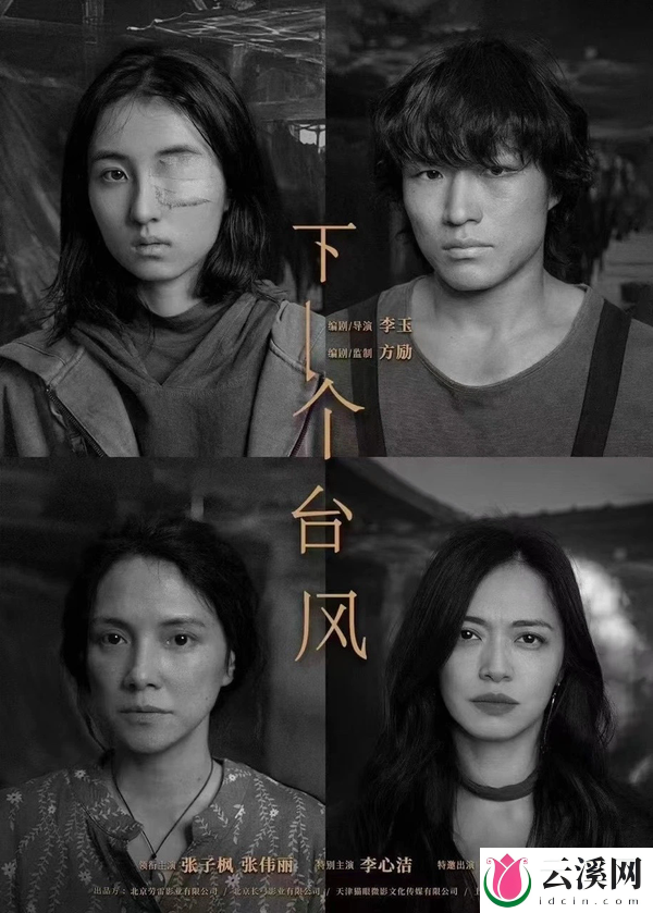 电影《下一个台风》正式杀青,张子枫、张伟丽领衔主演