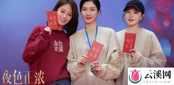 电视剧《夜色正浓》剧情简介-播出时间