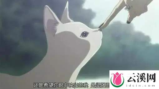 豆瓣9.2分《NANA》成人动画的一股清流