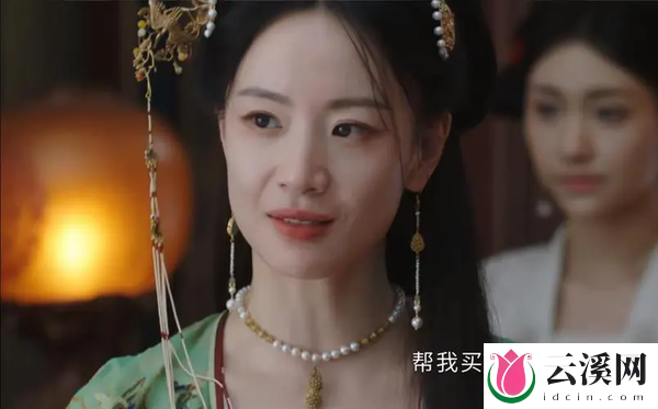 《墨雨云间》薛芳菲翻案成功了吗