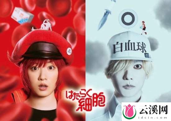 漫改真人电影《工作细胞》首曝预告,永野芽郁&佐藤健主演