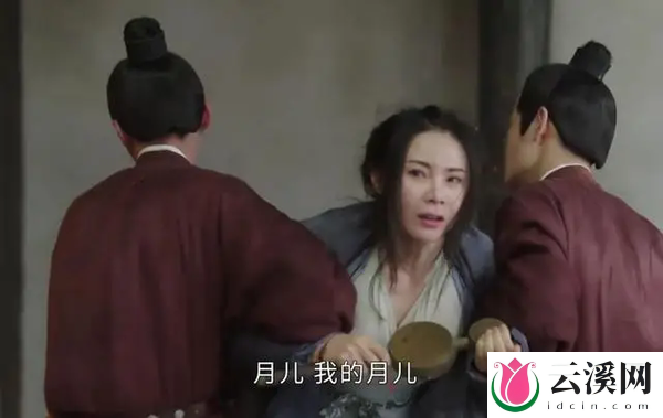 《墨雨云间》胡姨娘为什么要装疯卖傻?
