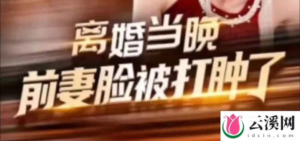 短视频离婚当晚前妻脸被打肿了免费看，剧情介绍